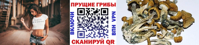 Галлюциногенные грибы Magic Shrooms  наркота  omg ТОР  Шацк 